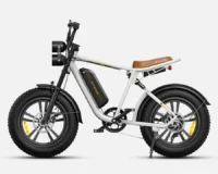 ENGWE M20